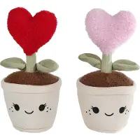 Take Me Home Knuffel plant pluche hart 27cm - schattige zachte knuffel.