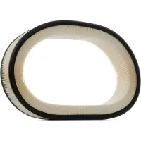 RIDEX 8A0330 Luchtfilter