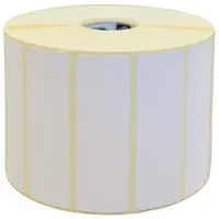 TSC 38-T148210-11LF labels 210 mm x 148 mm (origineel)