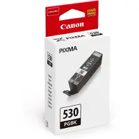 Canon PGI-530PGBK Cartouche Pigment Noir