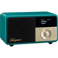 Sangean DDR-7X DAB+ / FM-RDS / Aux-in / Bluetooth / TWS Houten Kastradio Groen