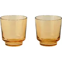 Muuto Waterglas Raise Burnt Orange 200 ml (Set van 2)