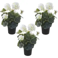 Louis Maes Set van 3x stuks witte geranium kunstplanten in zwarte kunststof pot 35 cm - Pelargonium Graveolens - Woondecoratie