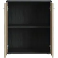 CARO-Möbel Commode TOMMY met 2 deuren - grijs essenhout/Sonoma-eiken