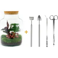 Urbanjngl Terrarium - Milky - ↑ 31 cm - Ecosysteem plant - Kamerplanten - DIY planten terrarium - Mini ecosysteem