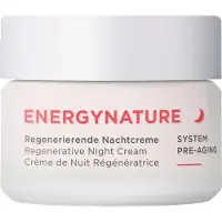 Börlind Energy Nature Regenerative Night Cream