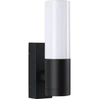 Paulmann Tralia 94787 LED-buitenlamp (wand) LED E27 Antraciet