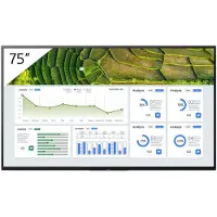 Sony 75" Pro BRAVIA LCD 440nit (3840 x 2160 Pixels, 75"), Digitale bewegwijzering, Zwart