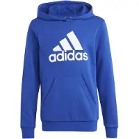 Adidas Hooded sweatshirt groot logo katoen kind Essentials | Maat 7/8 ans