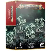 Games Workshop Warhammer Age of Sigmar: Nighthaunt: Spirit Hosts (93-08)