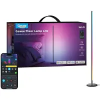 Govee Floor Lamp Lite