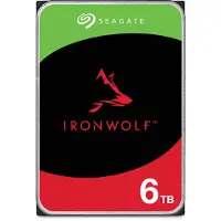 Seagate IronWolf 6TB