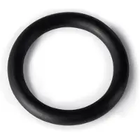 Polaris Originele Onderdelen O-Ring, UWF/QD, 6-505-00