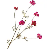 Buitengewoon Boet Cosmos beauty 77 cm kunstbloem
