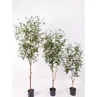 Oosterik Home Olijfboom 150 cm kunstplant
