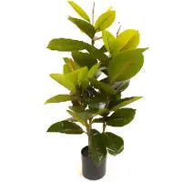 Oosterik Home Rubberboom 90 cm kunstplant