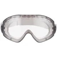3M 2890 ruimzichtbril