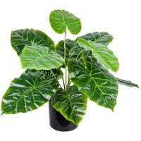 Decovego Kunstmatige Valse Arum Plant Philodendron Decoratie 45cm