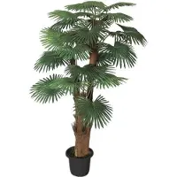 Brulo Palmboom 180 cm