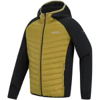 Regatta - Kid's Junior Andreson Hybrid - Hybride jas 11-12 Years, zwart