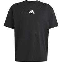 Adidas Run Graphic T-Shirt - Zwart- Heren, Zwart