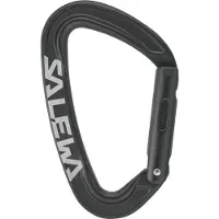 Salewa Karabijnhaak Ortles Straight | Maat TU