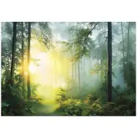 WALLARENA - Fotobehang - 200x140 cm - 3D bos landschap met bomen en zon, natuur voor slaapkamer en woonkamer