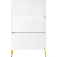 STILVORA Schoenenkast - Minimalistisch Met 3 Deuren En Veel Opbergruimte - Voor Hal En Entree - MDF - Wit;Goud - 73x24x120 Cm