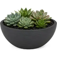 Eda Bloempot EDA Zwart Antraciet Ø 25 cm