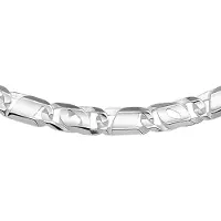 Vigor ketting arendsoog 7 mm 50 cm - Zilver