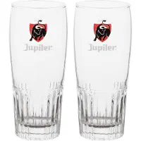 BElgIAN BEER GLASSES Neutraal Bierglas 25 cl