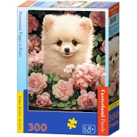 Castorland Puzzel 300 stukjes Pomeranian Puppy in Roses 030552