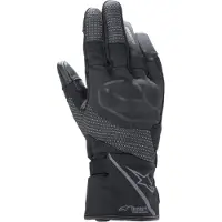 Alpinestars Stella Andes V2 Drystar Dameshandschoenen