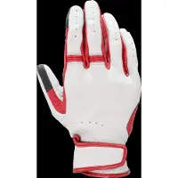 Alpinestars Dyno Leren Handschoenen