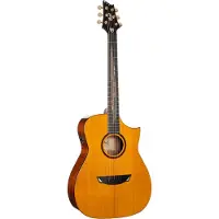 Cort Frank Gambale Signature Luxe II Natural Gloss elektrisch-akoestische westerngitaar met koffer