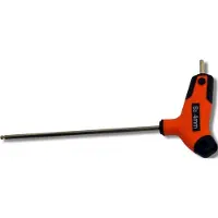 Skandia Inbussleutel T-Greep 4mm