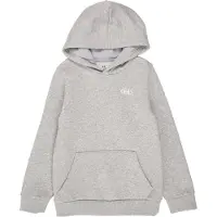 Under Armour Sportief sweatshirt 'RIVAL' grijs gemêleerd / wit