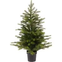 Everlands Grandis mini boom d51h75 cm groen