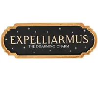 W M Widdop Harry Potter - Expelliarmus Wall Decoration Decoratie