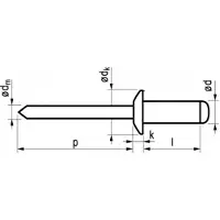 Master Popnagel Alu/Stl 1031 4,8X30Mm 250