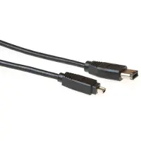 Intronics Câble IEEE 1394 - 4.5 m
