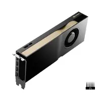 PNY Nvidia RTX 5000 Videokaart ADA Generation 32 GB GDDR6-RAM PCIe x16 DisplayPort Vulkan