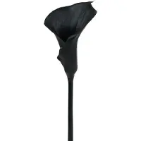 Viana Deco Calla Zwart 75cm