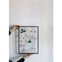 MOEBE lijst 50x70 cm Transparent, Black