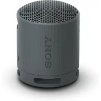 Sony SRS-XB100 Zwart