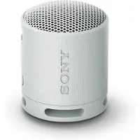 Sony SRS-XB100 Grijs