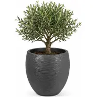 Eda Pot rond Graphit Ø50cm - Contenance 46L - Gris anthracite