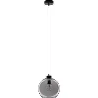 Lyora Hanglamp Palmer enkel zwart met smoke glas