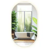 Drukarnia Piga LED Spiegel - Ovale Spiegel Badkamer Met Verlichting - 46 cm x 80 cm - Ovale Spiegel Met LED Verlichting - Badkamerspiegel - Warm Wit 3000K - Ovale LED Spiegel - Industriële Wandspiegel