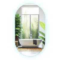 Drukarnia Piga LED Spiegel - LED Spiegel Oval - 52 cm x 90 cm - Ovale LED Spiegel - Halspiegel - Koel Wit 6500K - Ovale Spiegel Met LED - Moderne Wandspiegel